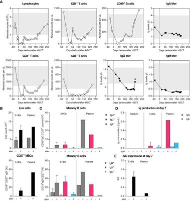 Case report: Persistent hypogammaglobulinemia and mixed chimerism after HLA class-II disparate-hematopoietic stem cell transplant